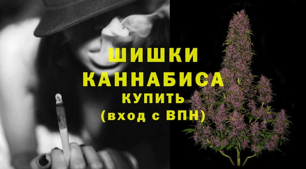 трава Балахна