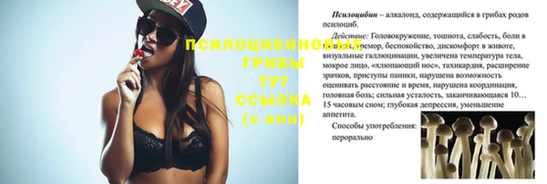 трава Балахна