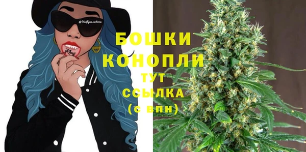 трава Балахна