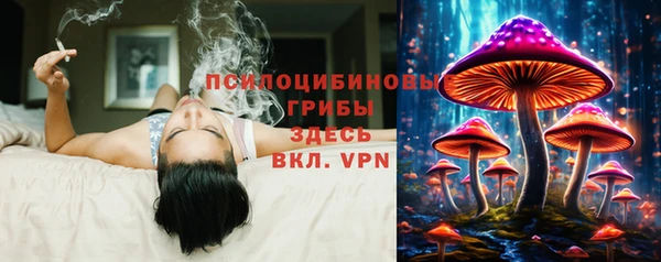 трава Балахна