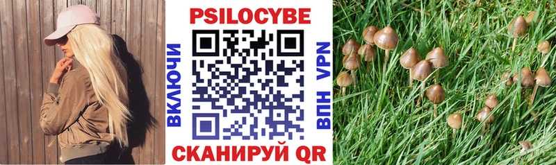 Псилоцибиновые грибы MAGIC MUSHROOMS  Сегежа 